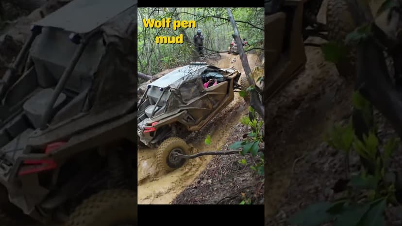 #shorts Wolf Pen Mud