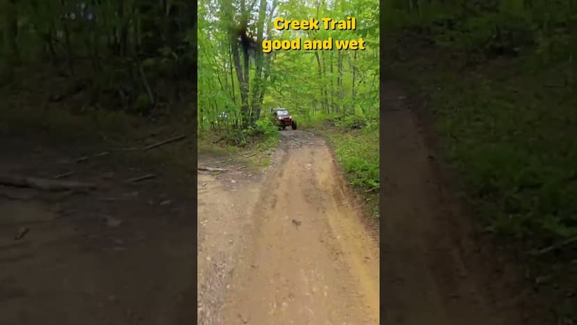 #shorts Creek trail is good and wet!