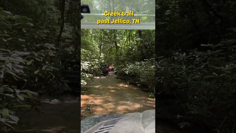 #shorts Cooling off on the Creek Trail, TN