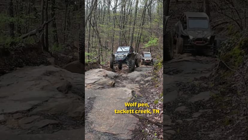 #shorts Wolf Pen Trails at Tackett