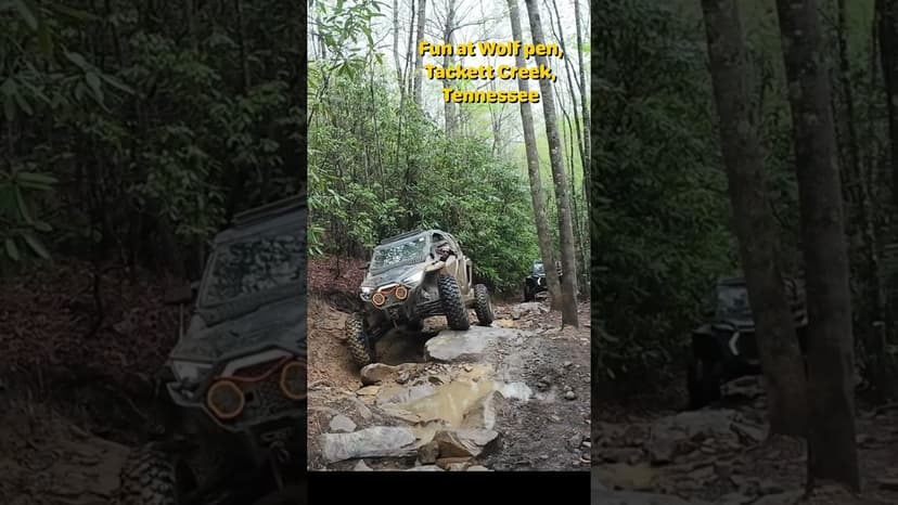 #shorts more fun at Wolfpen Tackett Creek, Tennessee