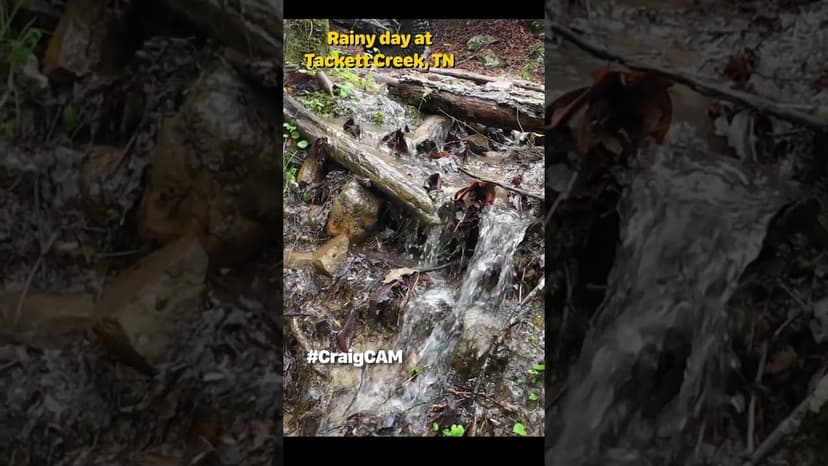 #shorts Tackett Creek, TN rainy day